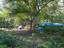 camping-civis-3.jpg