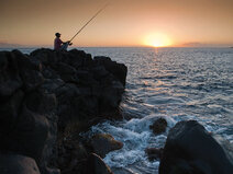 camping-civis-6.jpg